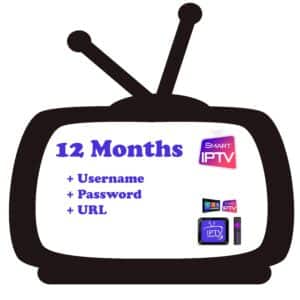Read more about the article iptv smarters subscription